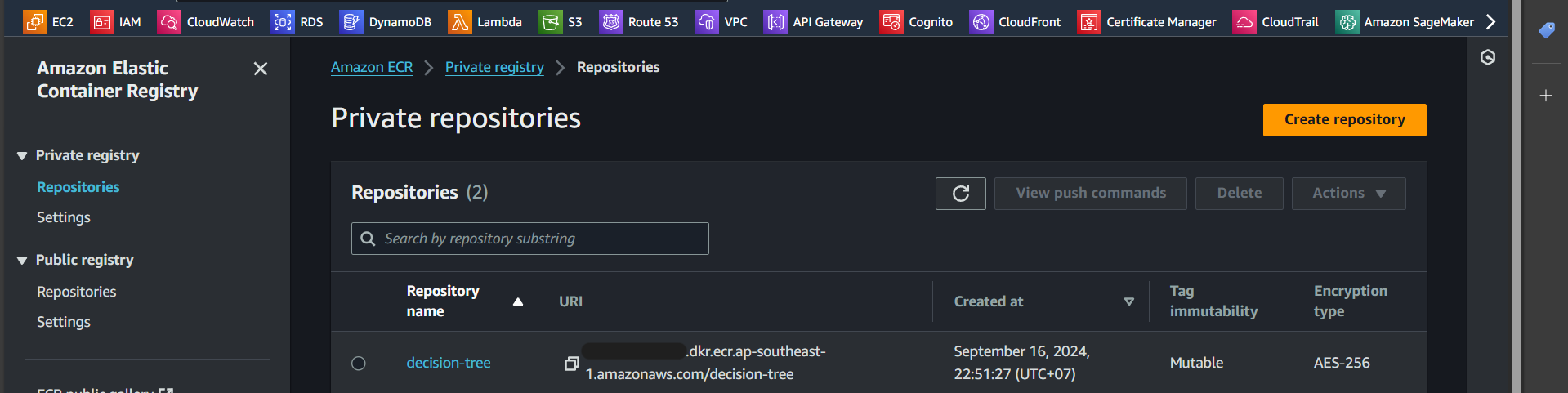 repository created successfully
