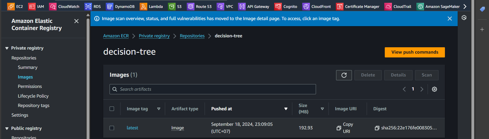 push image successfully
